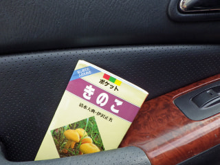 カマゲンメール７／２０