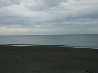 今日の波情報 (1/25)