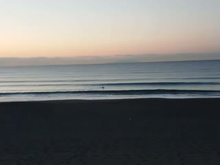 今日の波情報（1/19)