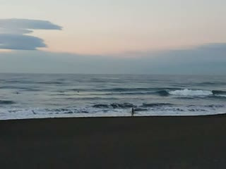 今日の波情報（1/5)