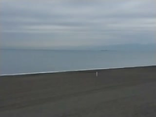 今日の波情報（1/12)