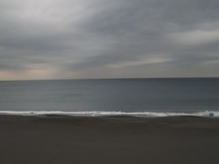 今日の波情報（2/9)