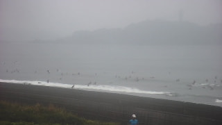 今日の波情報（9/5）