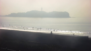 今日の波情報（2/28）