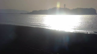 今日の波情報（1/17）