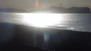 今日の波情報（1/31）