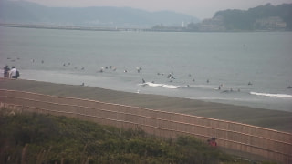 今日の波情報 (5/25)