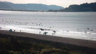今日の波情報 (9/10)
