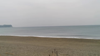 今日の波情報 (1/23)