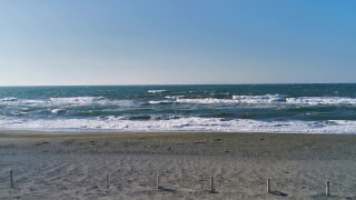 今日の波情報 (2/20)