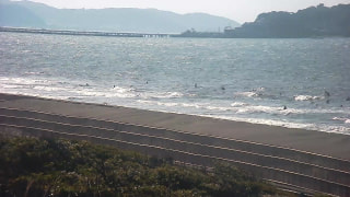 今日の波情報 (5/11)