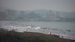 今日の波情報 (6/29)