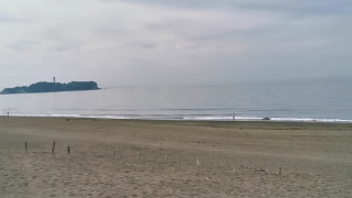 今日の波情報 (6/12)