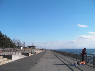 東扇島でエビ撒き釣り