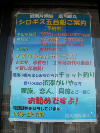 シロギス五目で大フィーバー（目確定）