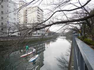 横濱SUPマラソン