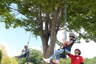 Treecriming5