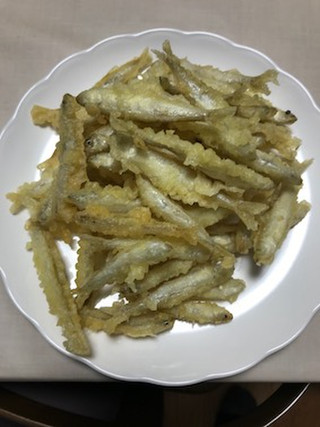 Yoici111403