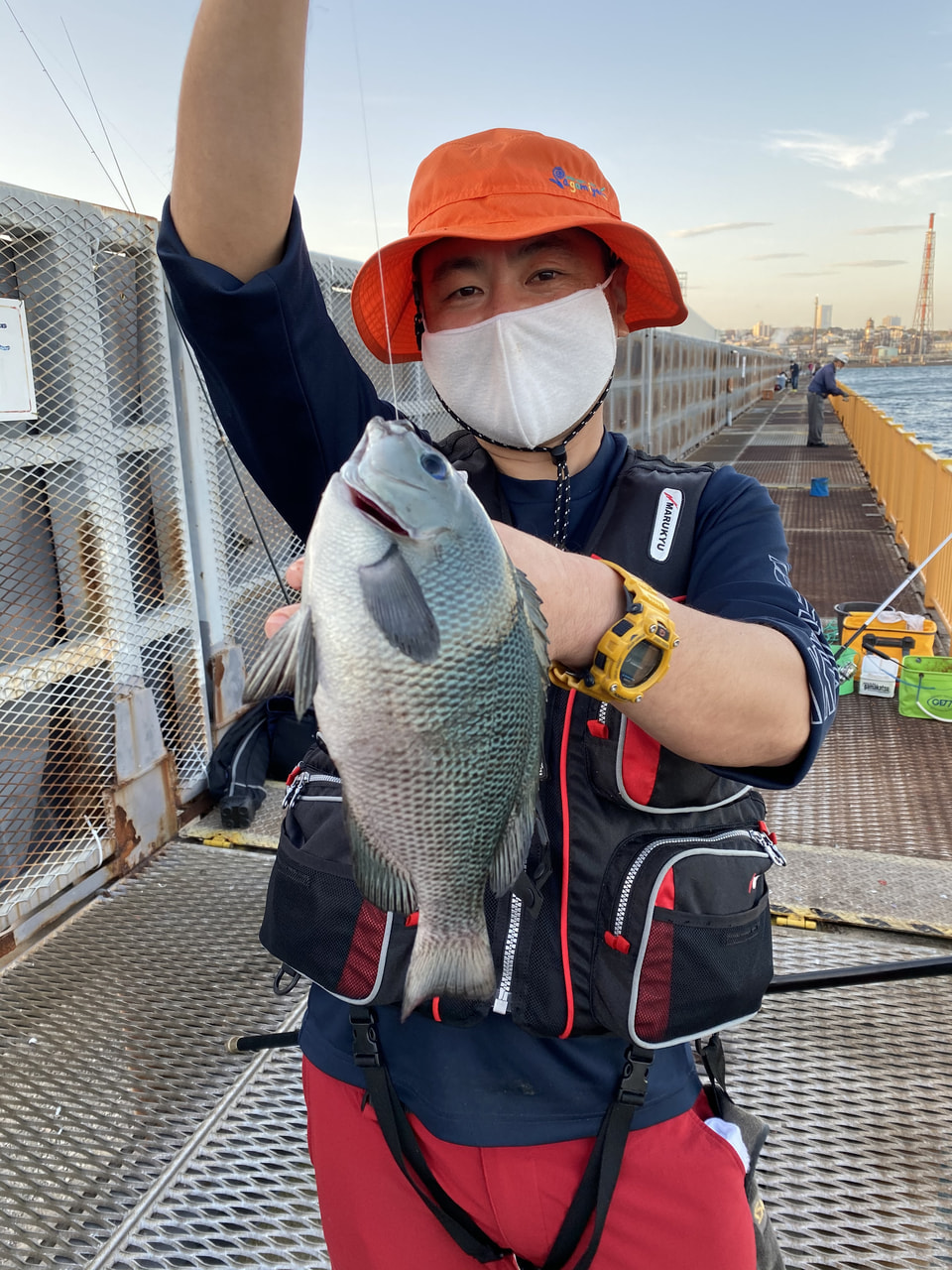 初心者にオススメの釣り「サビキ・ちょい投げ釣り」① | The Burn - Fm