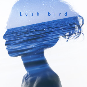 Bird_lush_jk