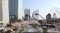 Dcim0962_2