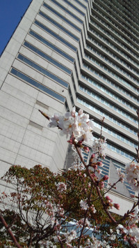 Dcim0966