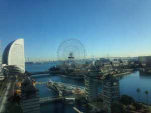 あさって、そして来週は・・・