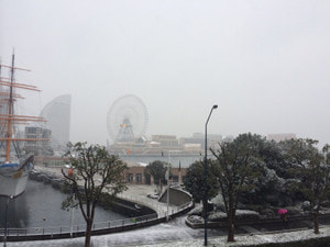 雪です！お気を付け下さい！！