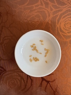 ヨコハミ稲作通信