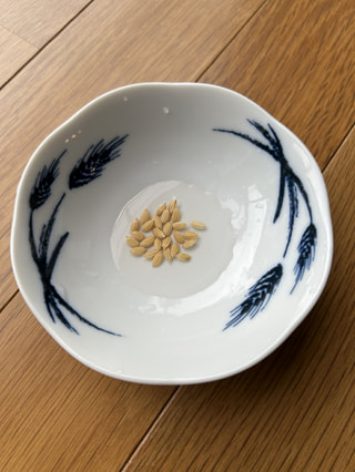 石井さん（代理）もはじめました！