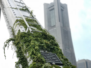 2/16OA 横浜市公式Instagram「@findyouryokohama」を楽しもう